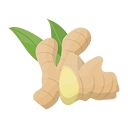 Yuzu & Ginger