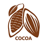 Dark Cocoa & Sea Salt